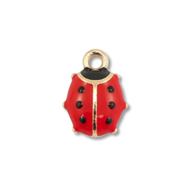 Charms coccinelle