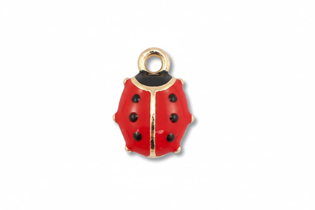 Charms coccinelle