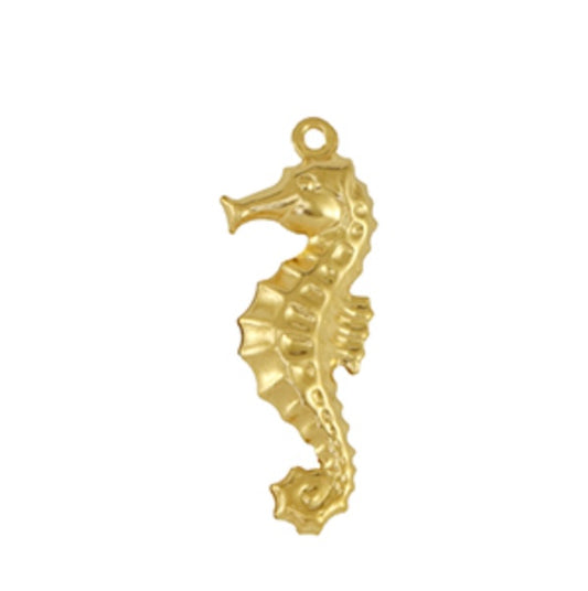 Charms hippocampe
